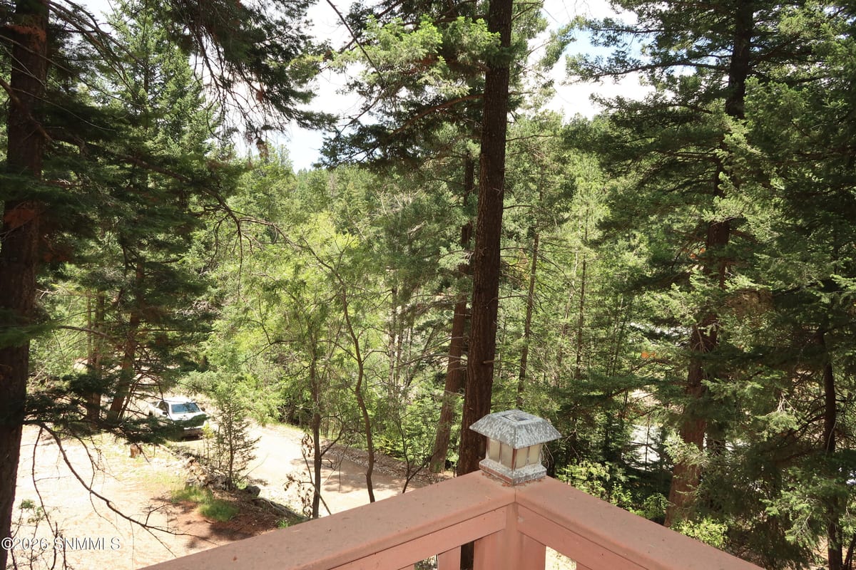 35 Silver Cloud Drive, Cloudcroft, NM 88317 photo 13