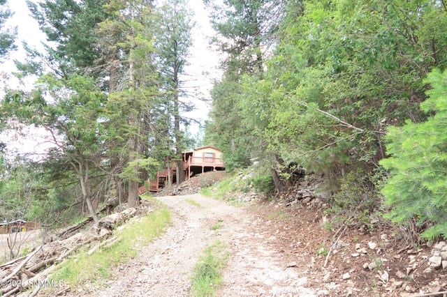 35 Silver Cloud Drive, Cloudcroft, NM 88317 photo 2