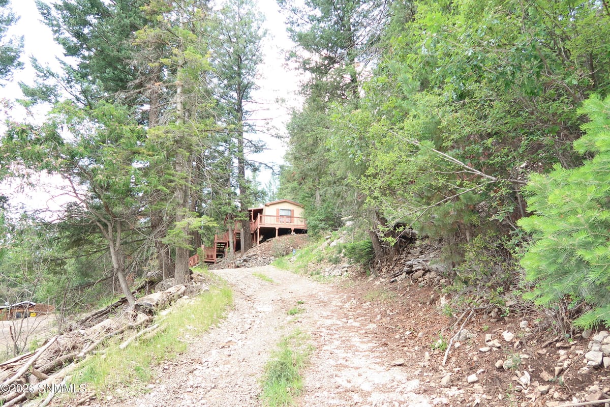 35 Silver Cloud Drive, Cloudcroft, NM 88317 photo 2
