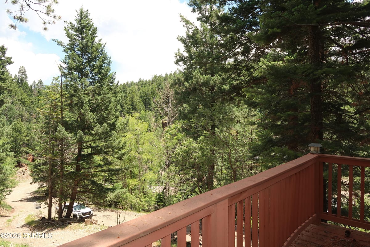 35 Silver Cloud Drive, Cloudcroft, NM 88317 photo 6