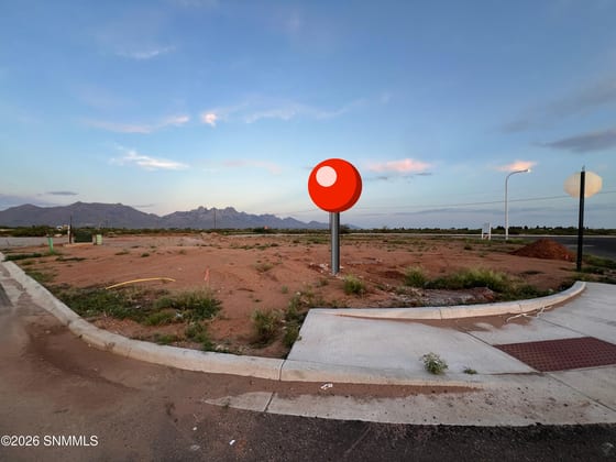 8026 Inca Dove Avenue, Las Cruces, NM 88012 photo 2
