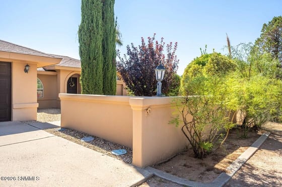 6100 San Augustin Drive, Las Cruces, NM 88012 photo 5