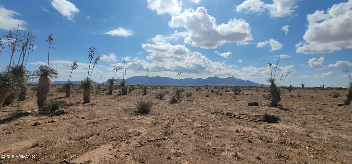 TBD SW Purple Sage Road, Deming, NM 88030 photo 3