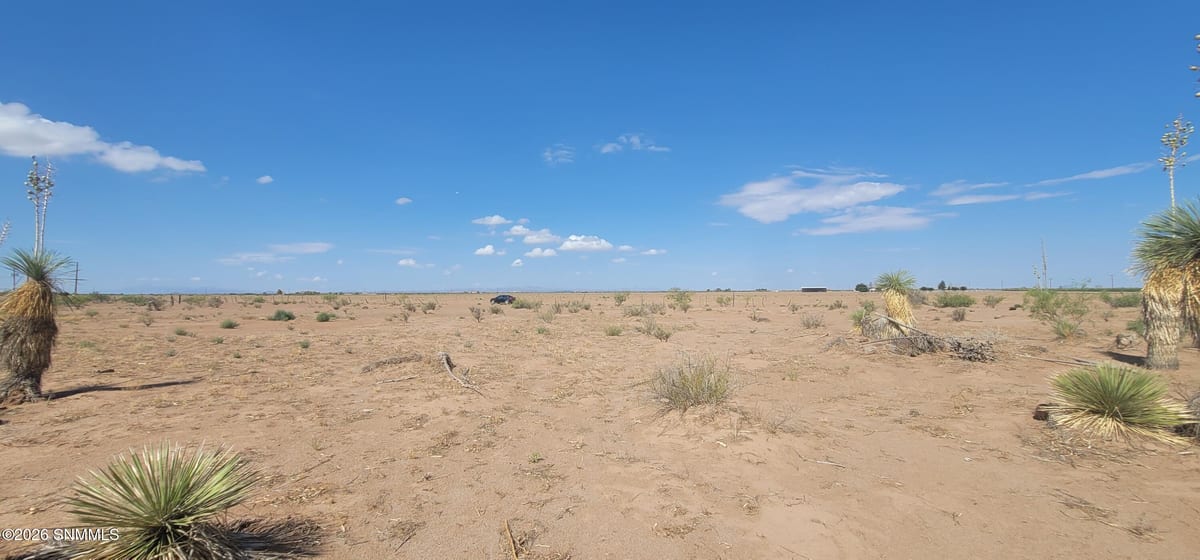 TBD SW Purple Sage Road, Deming, NM 88030 photo 4