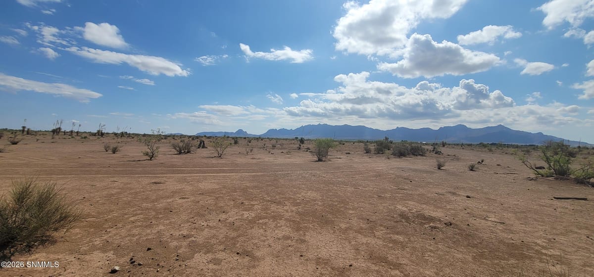 TBD SW Purple Sage Road, Deming, NM 88030 photo 6