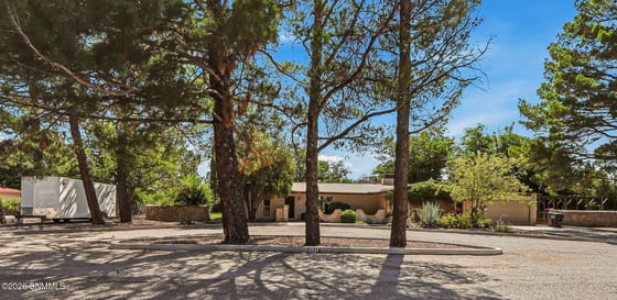 2517 Calle De Vista, Las Cruces, NM 88007 photo 3