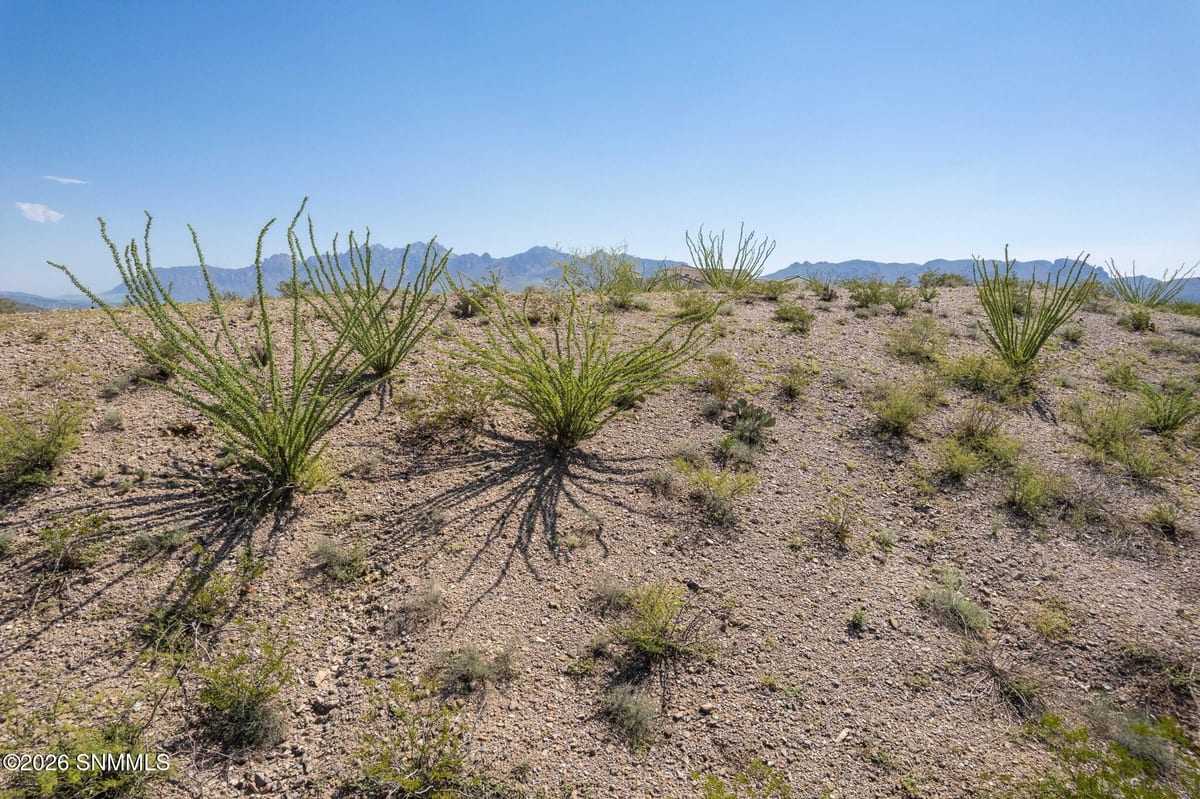 6664 Lazo Del Norte, Las Cruces, NM 88011 photo 11