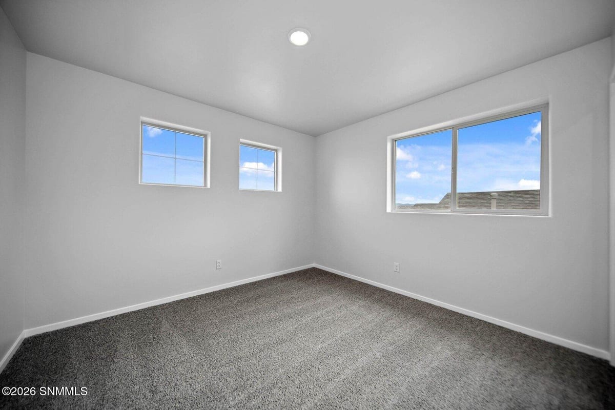 161 Organ Trail, Santa Teresa, NM 88008, foto 12