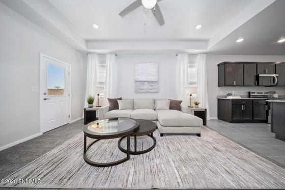 163 Organ Trail, Santa Teresa, NM 88008 photo 5