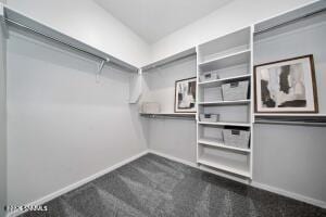 157 Organ Trail, Santa Teresa, NM 88008, foto 8
