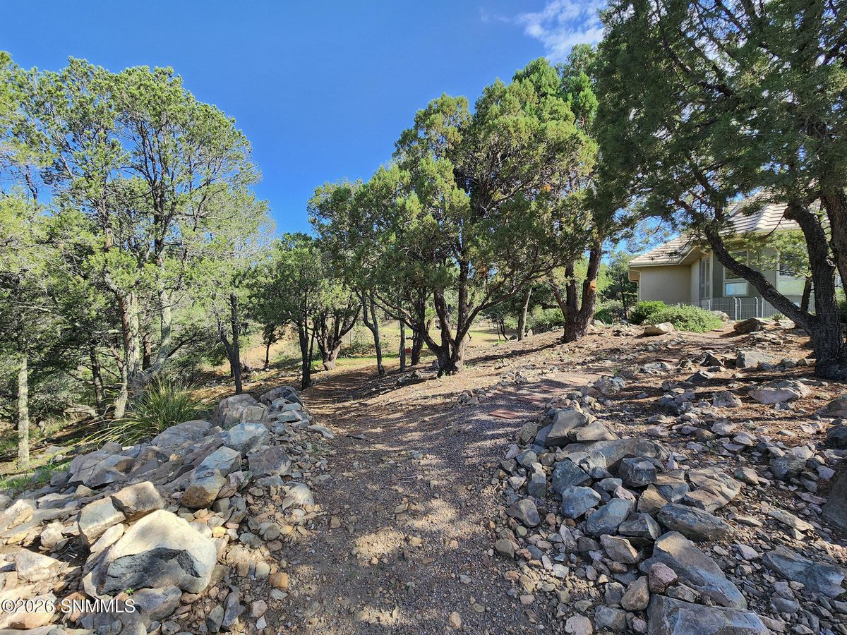 10 Oxbow Drive, Silver City, NM 88061 photo 15