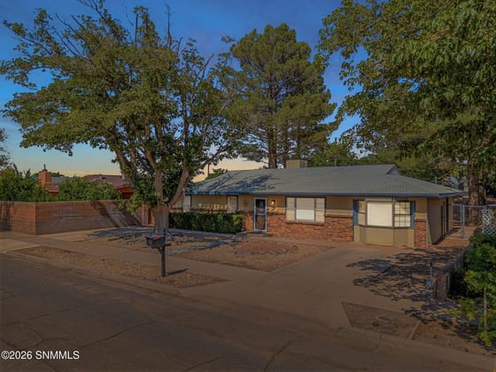 1107 S Santa Catalina Street, Deming, NM 88030 photo 4