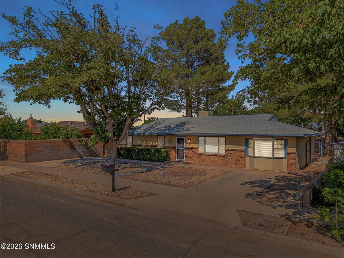 1107 S Santa Catalina Street, Deming, NM 88030 photo 4