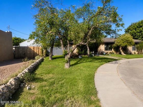 964 Valle Hermosa, Las Cruces, NM 88005 photo 4