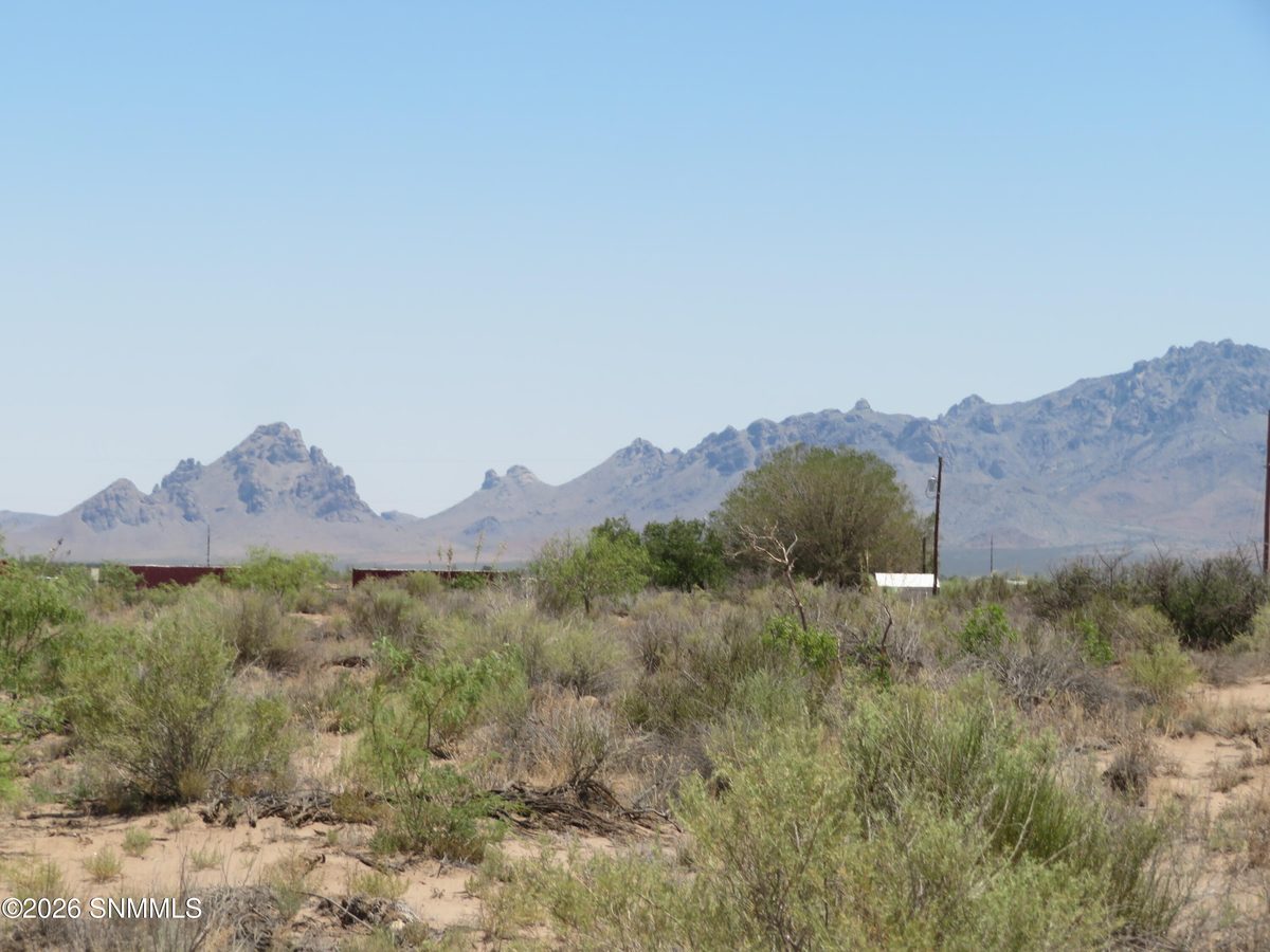 TBD SW Durango Road, Deming, NM 88030 photo 1