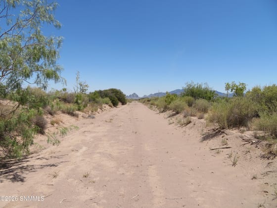 TBD SW Durango Road, Deming, NM 88030 photo 2