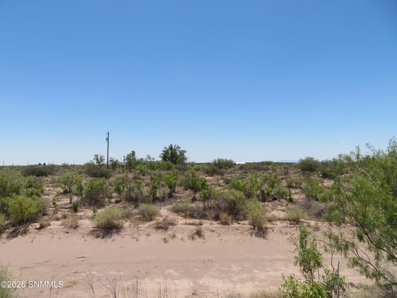 TBD SW Durango Road, Deming, NM 88030 photo 3
