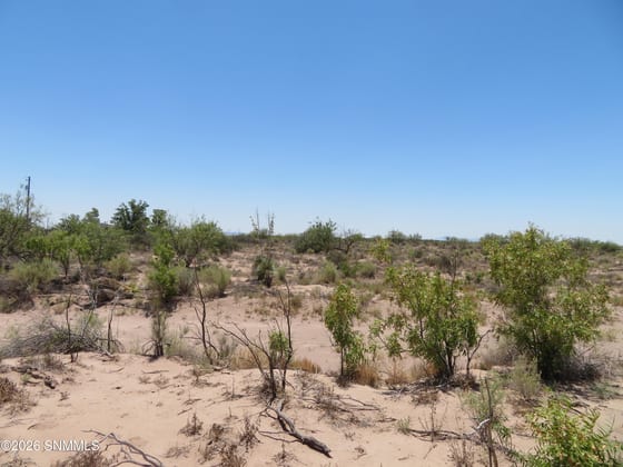 TBD SW Durango Road, Deming, NM 88030 photo 4