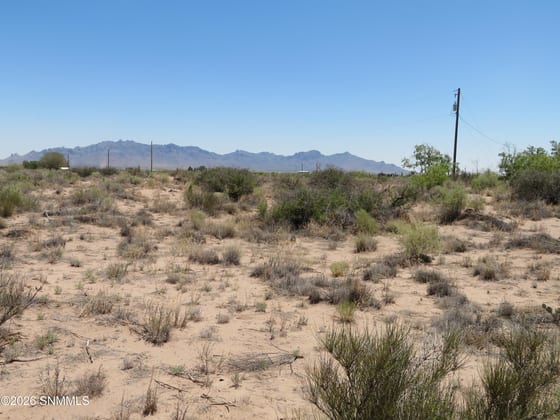 TBD SW Durango Road, Deming, NM 88030 photo 5