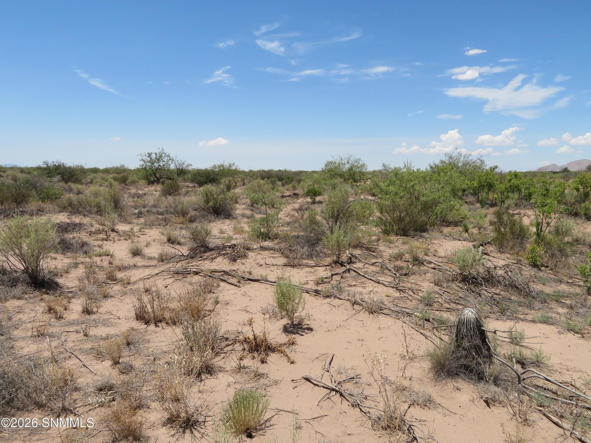 TBD SW Durango Road, Deming, NM 88030 photo 6