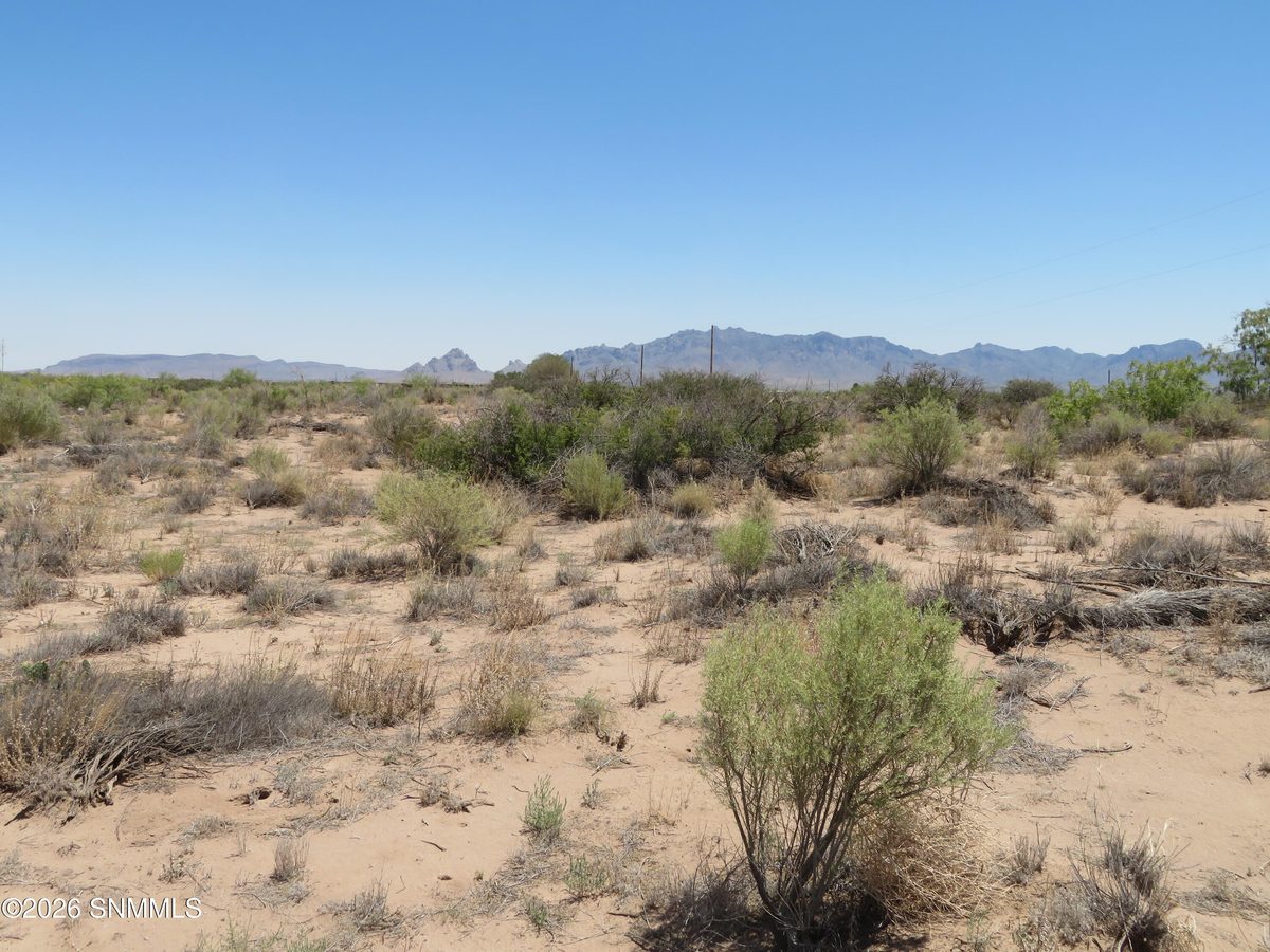 TBD SW Durango Road, Deming, NM 88030 photo 7
