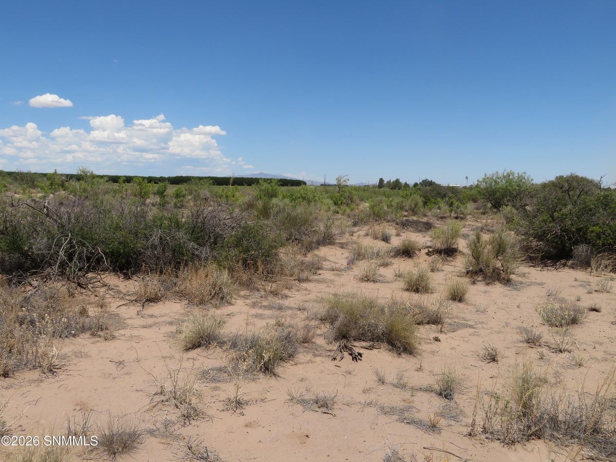 TBD SW Durango Road, Deming, NM 88030 photo 8