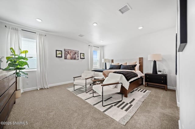 5081 Sand Stream Road, Las Cruces, NM 88012 photo 5