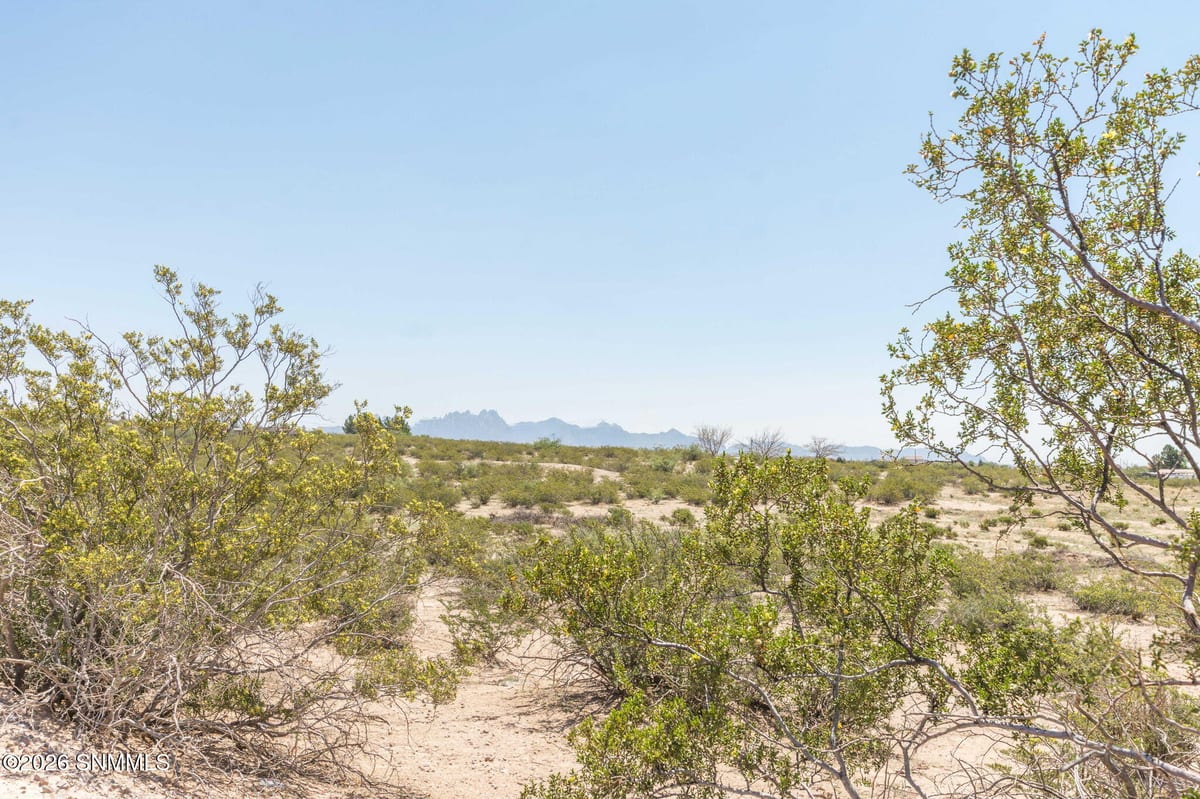 3200  2 Del Rey Boulevard, Las Cruces, NM 88012, foto 8