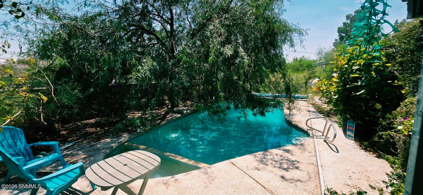 Backyard in-ground pool surrounded by mature trees at 3100 Karen Drive in Las Cruces.