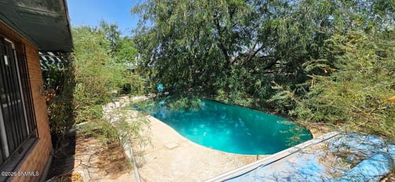 3100 Karen Drive, Las Cruces, NM 88001 photo 2