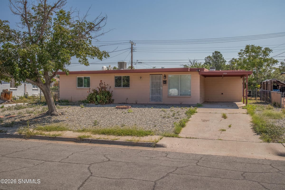 1305 Diana Maura Drive, Las Cruces, NM 88001 photo 1