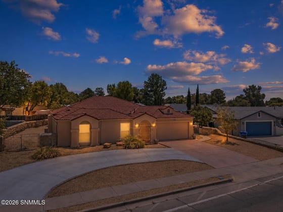 3056 Spitz Street, Las Cruces, NM 88005 photo 4
