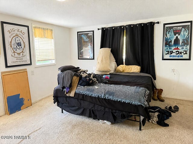 1402 Hawaii Avenue, Alamogordo, NM 88310 photo 7