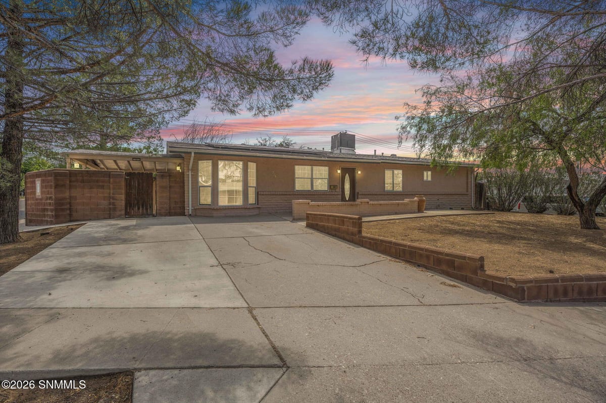 925 Delta Drive, Las Cruces, NM 88001 photo 1