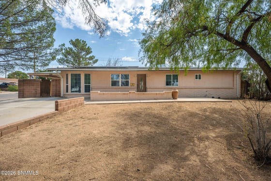925 Delta Drive, Las Cruces, NM 88001 photo 2