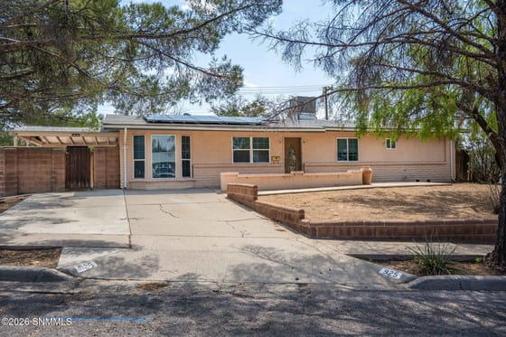 925 Delta Drive, Las Cruces, NM 88001 photo 3