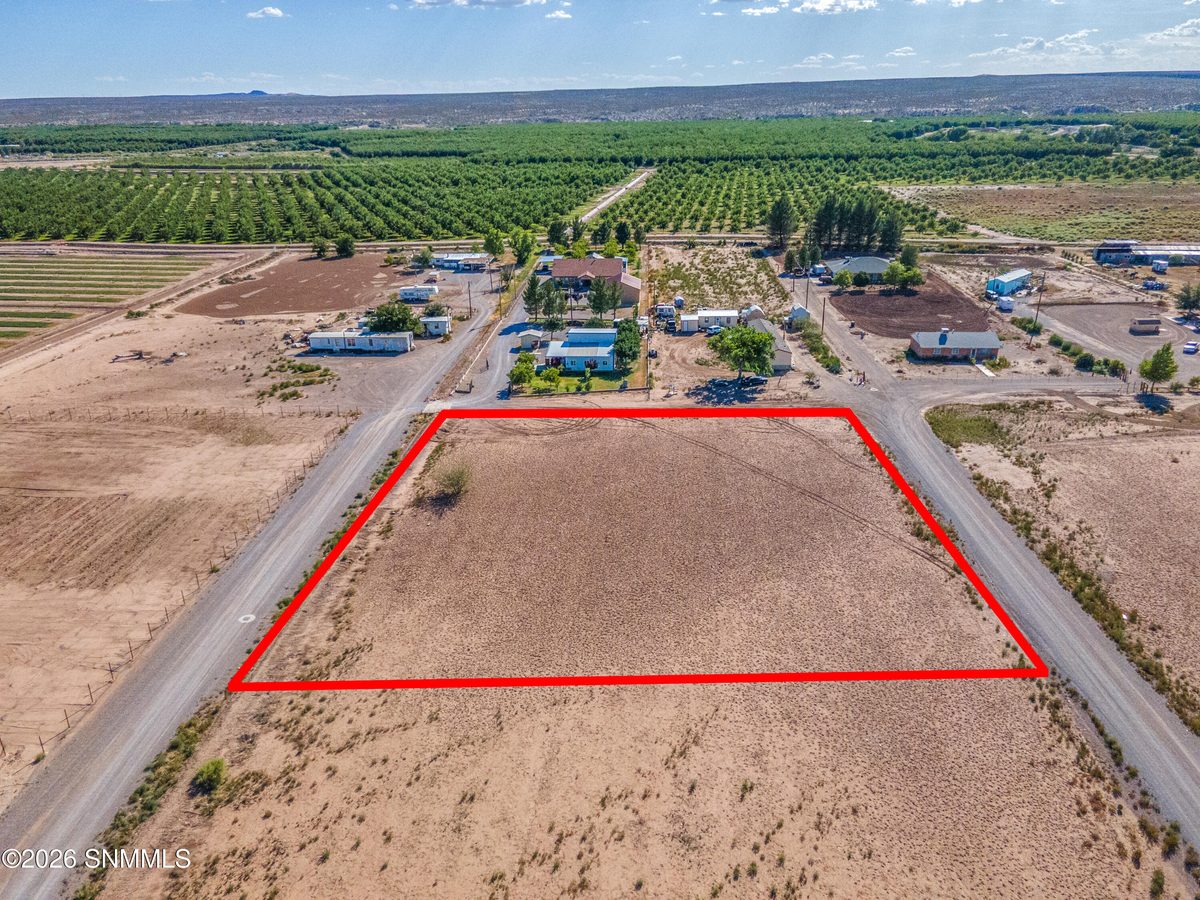 255 Camino Alegre, La Mesa, NM 88044 photo 6