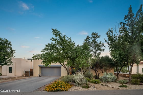 1910 Calle Pacana, Mesilla, NM 88046 photo 2