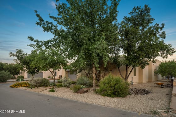 1910 Calle Pacana, Mesilla, NM 88046 photo 3