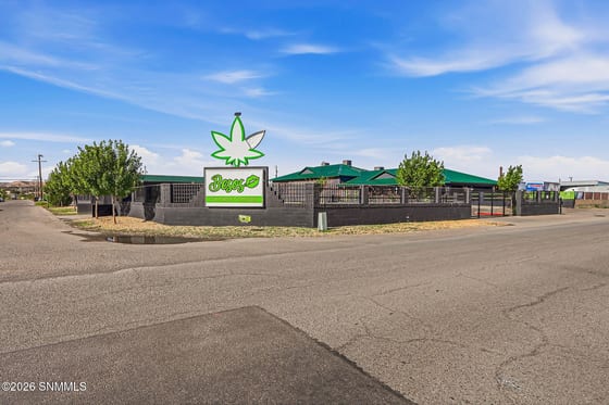 1805 Futurity Drive, Sunland Park, NM 88063 photo 5