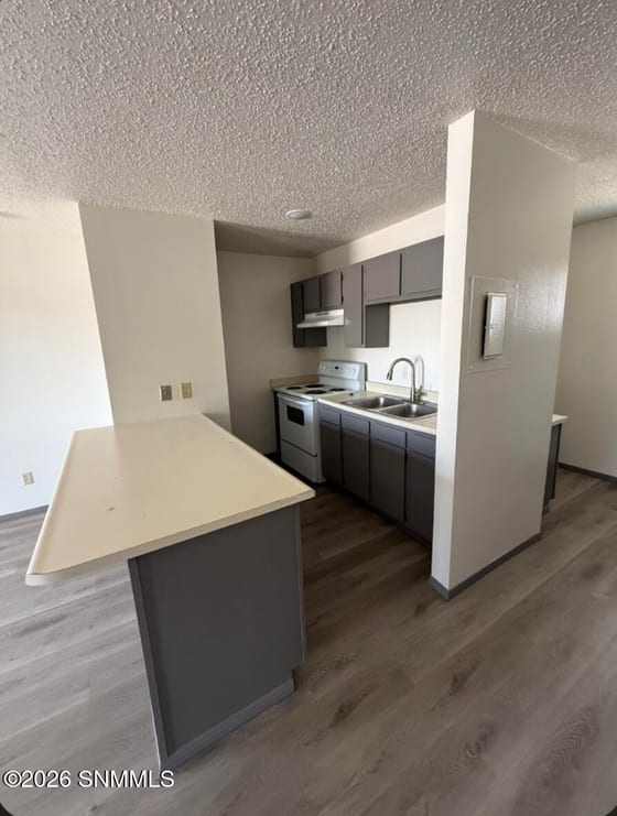 765 Williams Lane, Las Cruces, NM 88005 photo 3