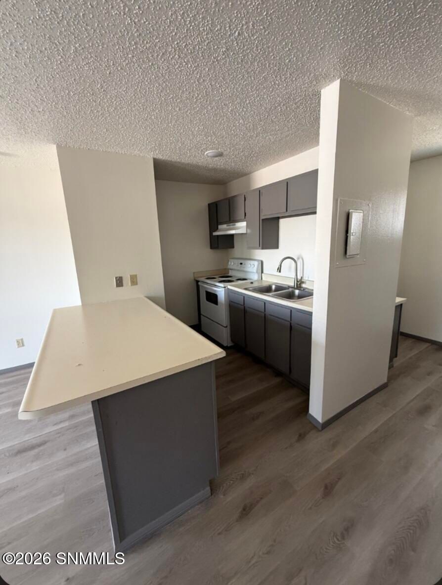 765 Williams Lane, Las Cruces, NM 88005 photo 3