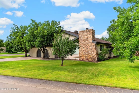 3020 Mimosa Lane, Las Cruces, NM 88001 photo 2