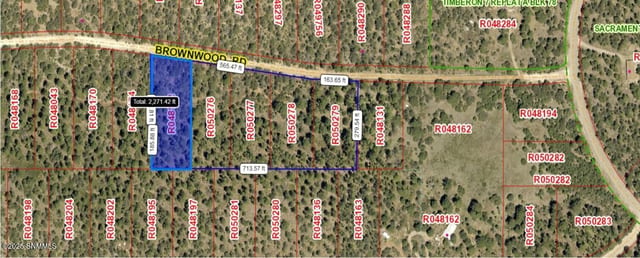 60 Brownwood Road, Timberon, NM 88350, foto 4