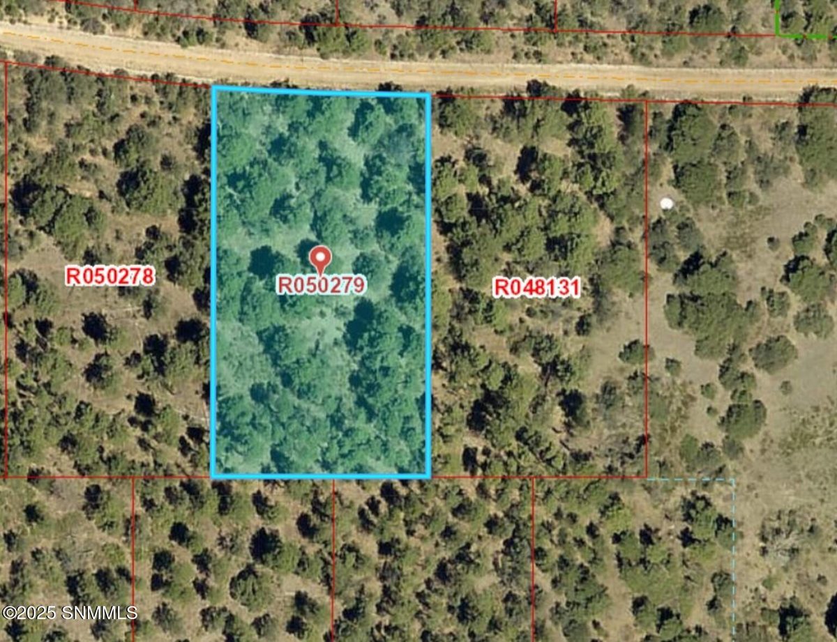 76 Brownwood Road, Timberon, NM 88350, foto 4