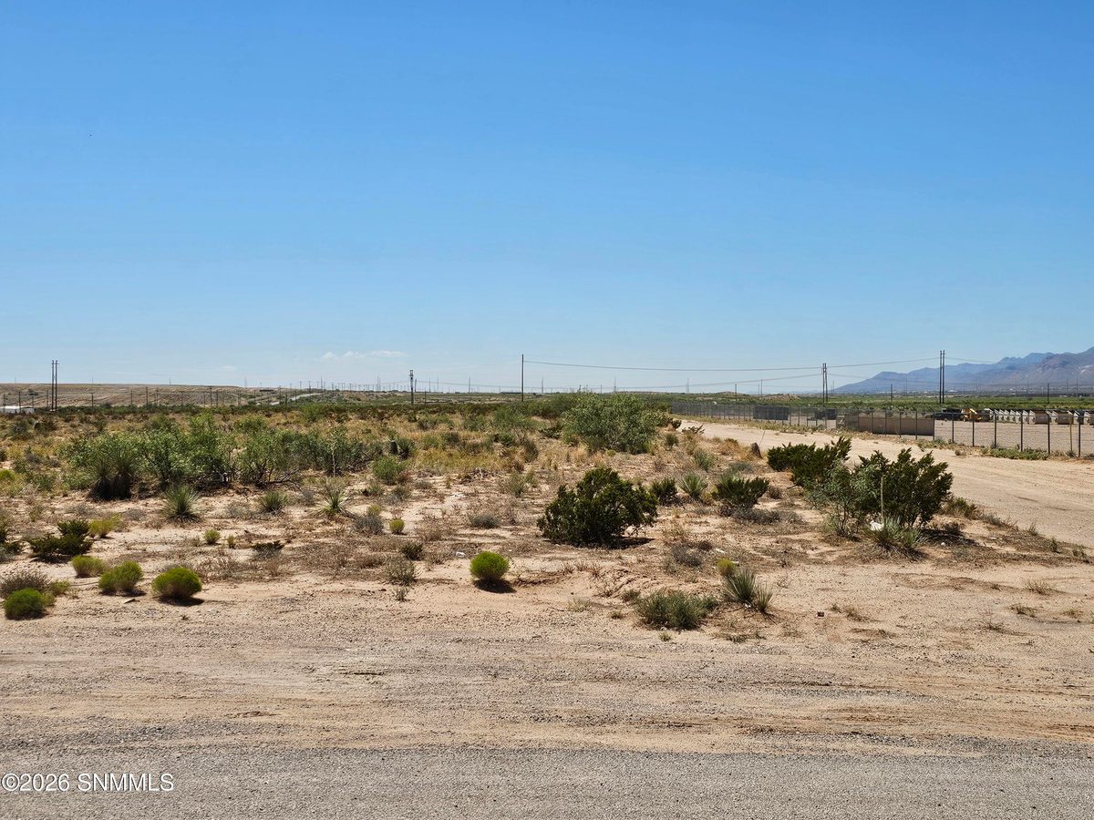 TBD McCombs Road, Chaparral, NM 88081, foto 2
