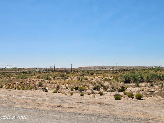 TBD McCombs Road, Chaparral, NM 88081, foto 3