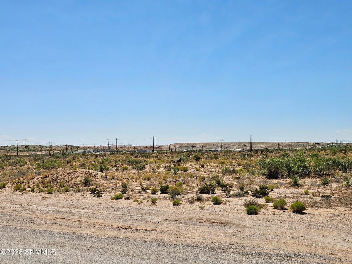 TBD McCombs Road, Chaparral, NM 88081, foto 3