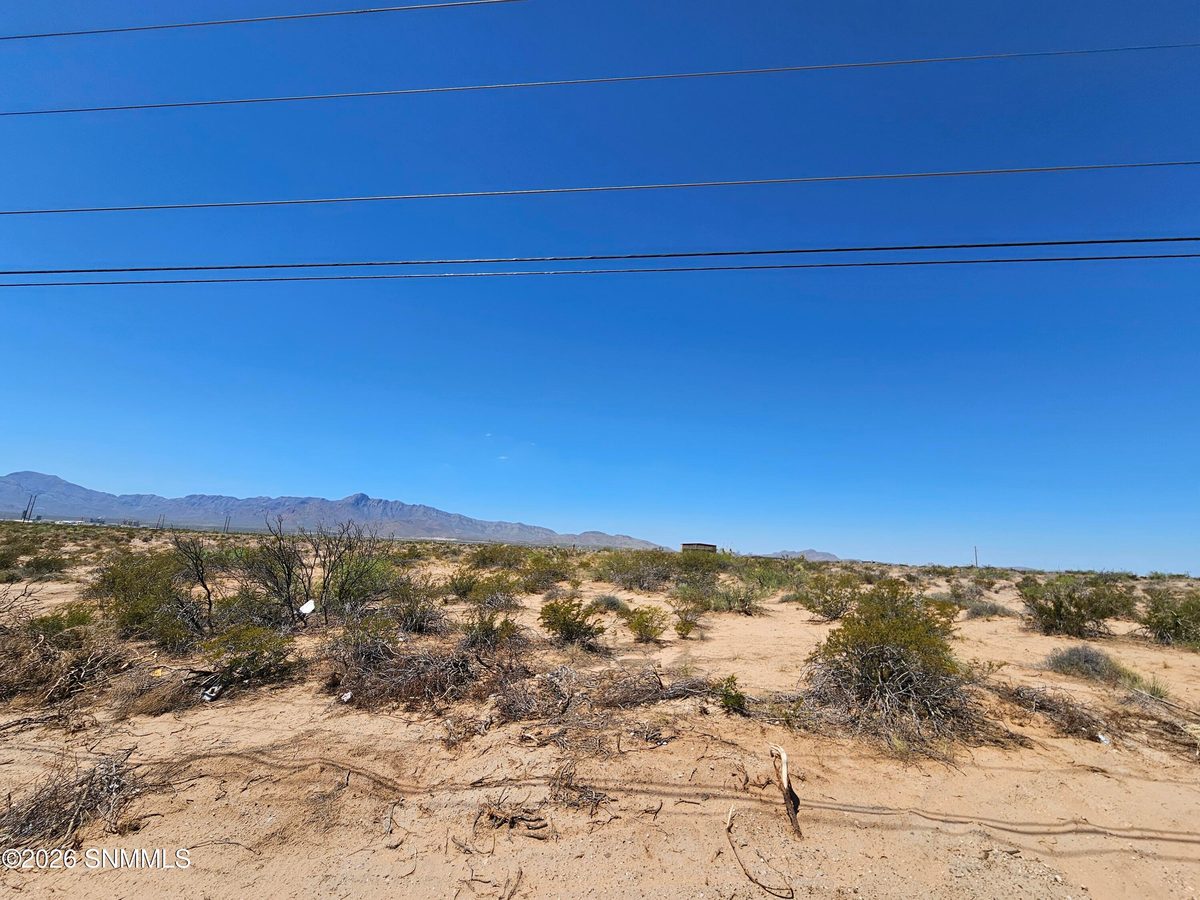 TBD McCombs Road, Chaparral, NM 88081, foto 5