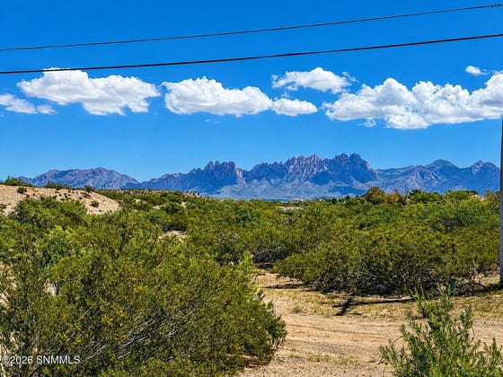3365 Chimney Rock Road, Las Cruces, NM 88011 photo 4